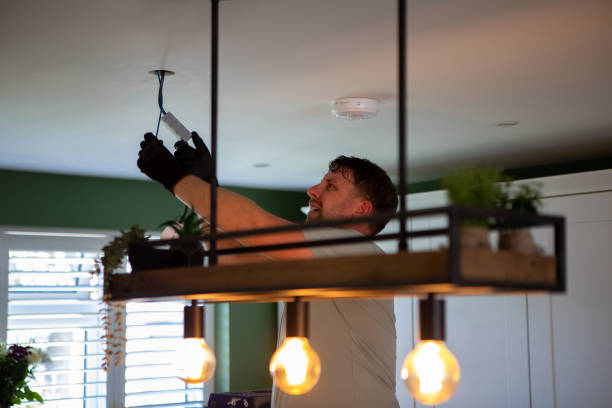 Best Outdoor Lighting Installation  in Williston, FL